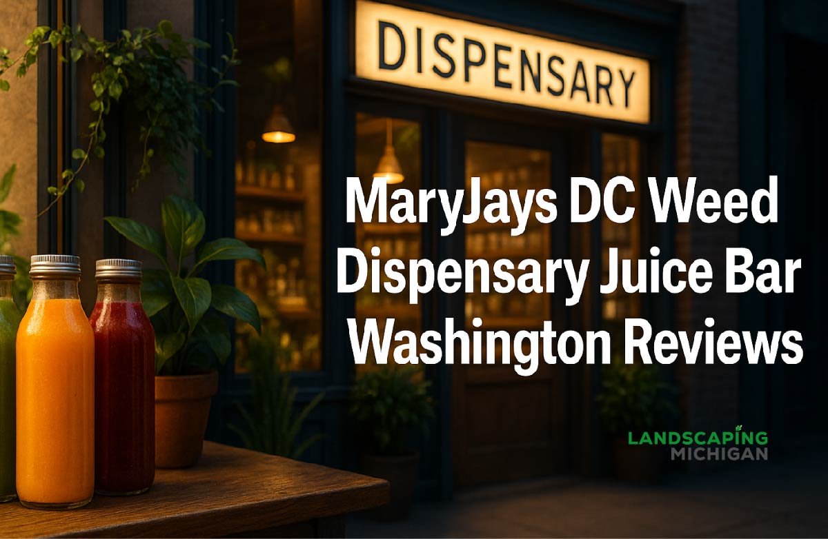 maryjays dc weed dispensary juice bar washington reviews